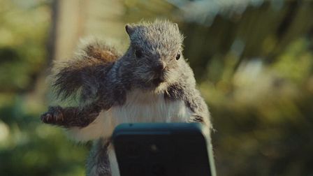Ulf Johansson goes nuts for Canva's squirrel