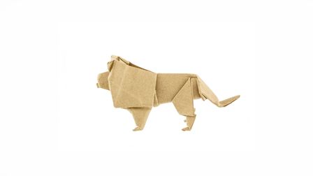 The Cannes Lions Focus