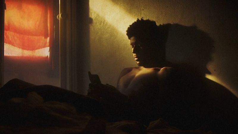 Nada Mais Orgânico Que a Luz