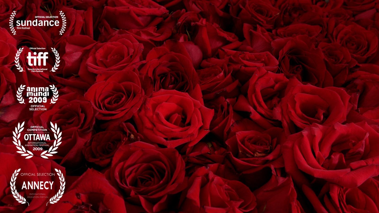 Vive la Rose