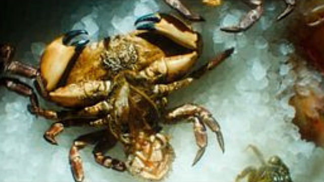 Röyksopp - A Crab & A Pipe