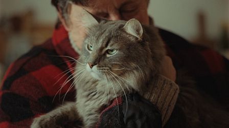 Yorkshire Tea believes that some moments deserve gold