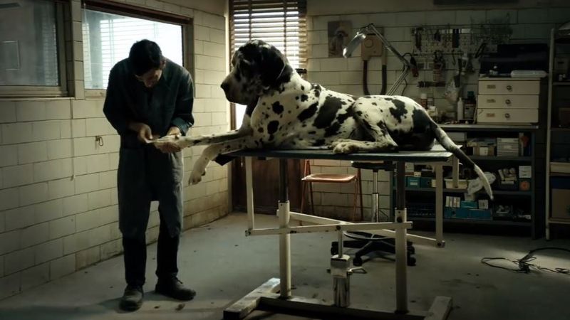 Dogman - Feature