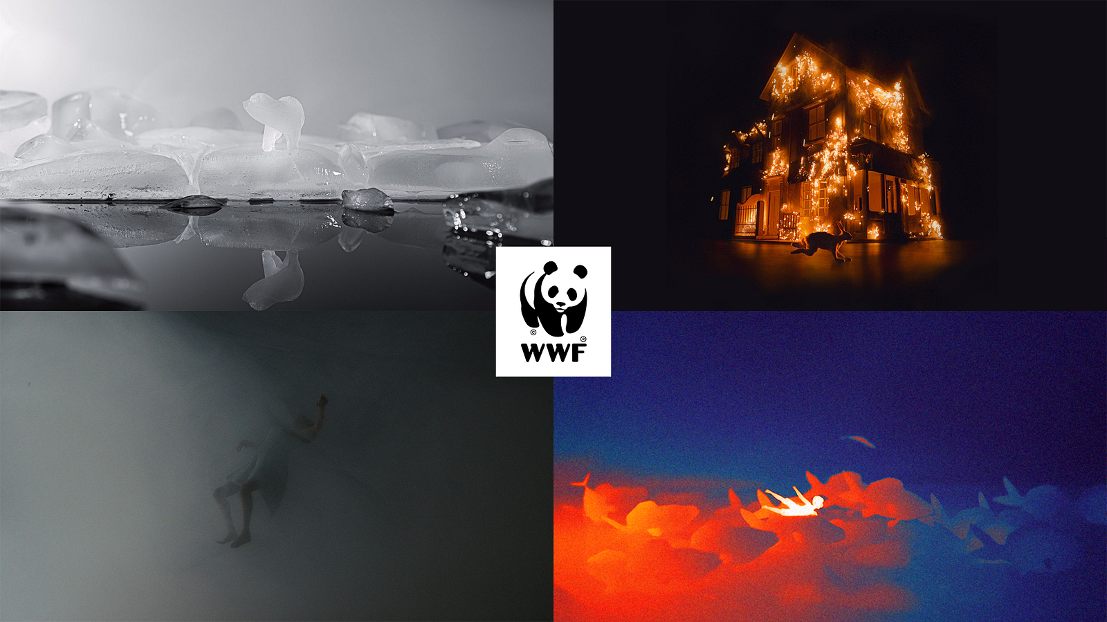 WWF x NOMINT
