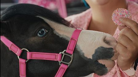 Griffin’s' sweet slices of life