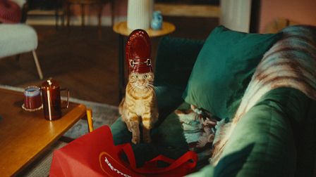 TK Maxx is feline iconic