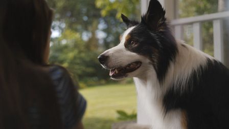 Plural delivers emotional NutriSource campaign