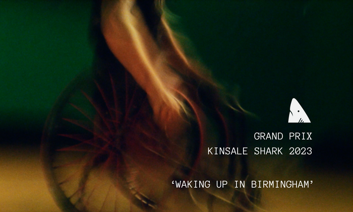 'Waking up in Birmingham' wins Grand Prix at Kinsale Shark Awards