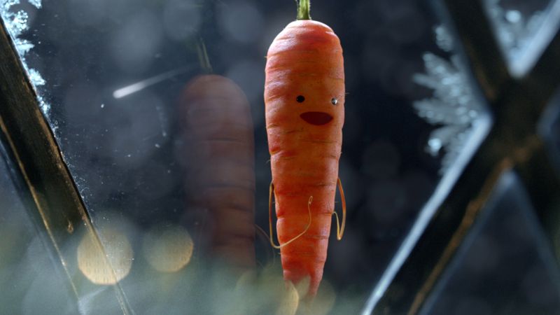 Kevin The Carrot
