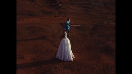 ActionAid’s wedding smashers