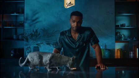 Sheba's steamy new spot