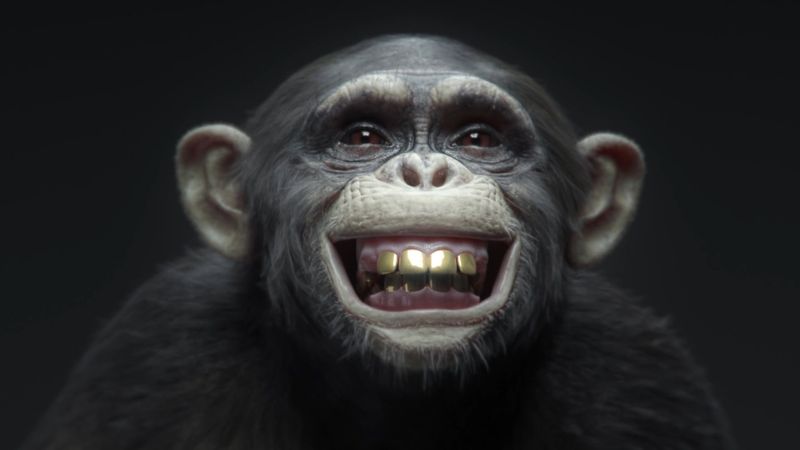 Winamax - Monkeys