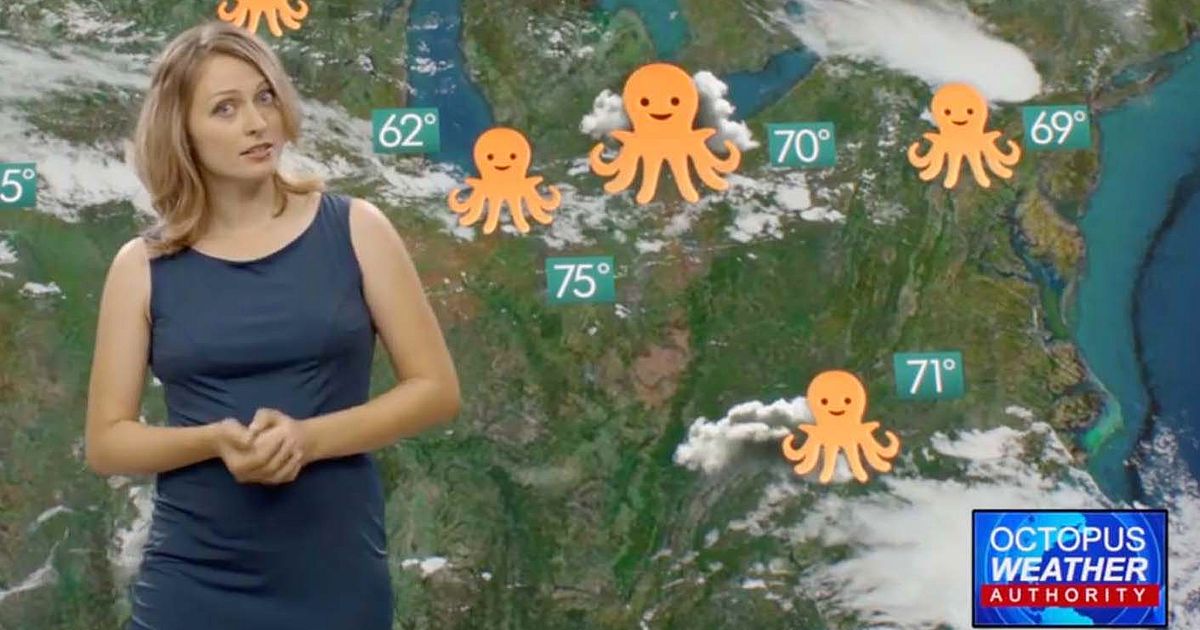 GE: Octopuses | shots