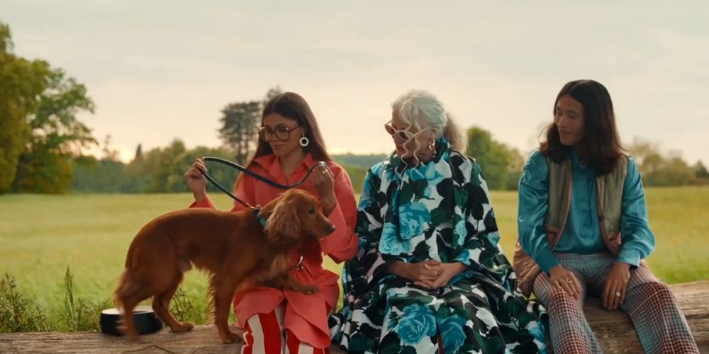 Land Rover – Discovery Sport - Pet Pack