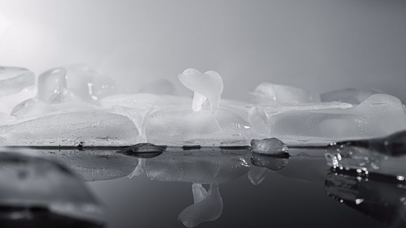 WWF - Can't negotiate the melting point of ice