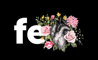 Estudio Fe | US