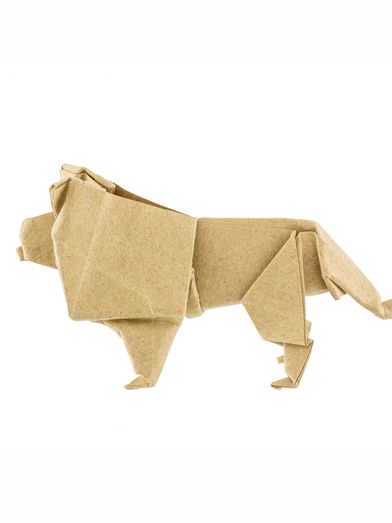 The Cannes Lions Focus