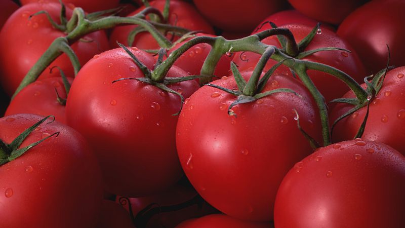 Tomatoes