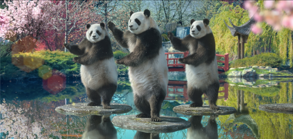 Pandas - Sudocrem | Curved Arrow