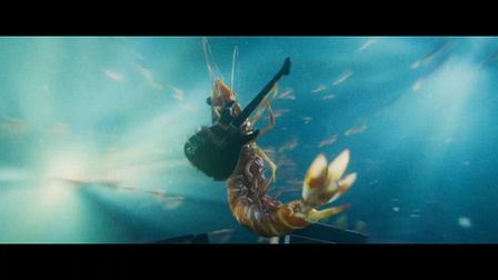 Skull Island Prawns shows that shrimps ain't wimps