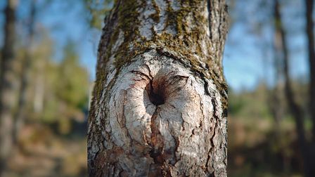 Mekanism gets to the bottom of it