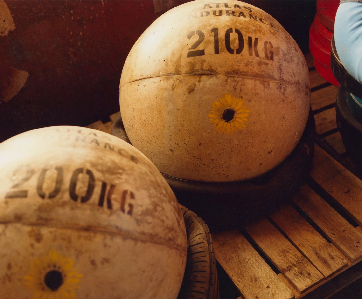 Stoltman 21
