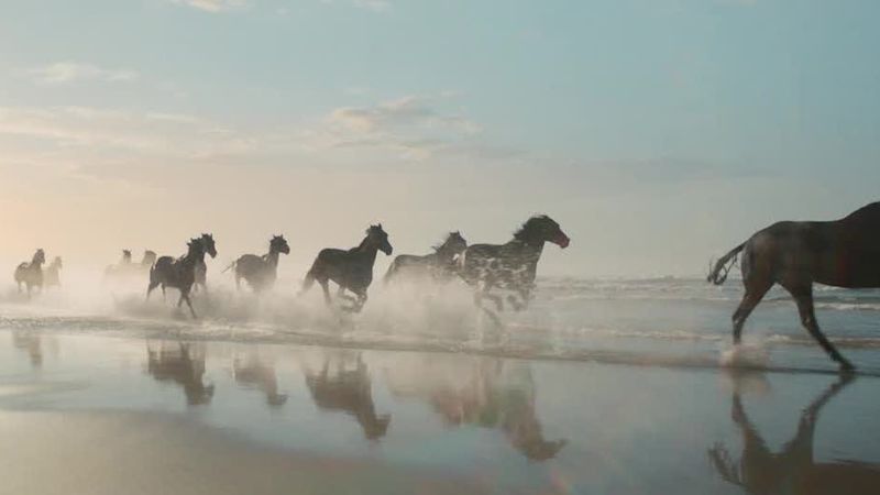 Lloyds