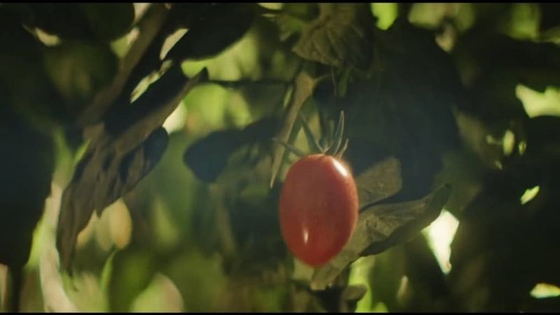 Coop 'Taste the Difference'