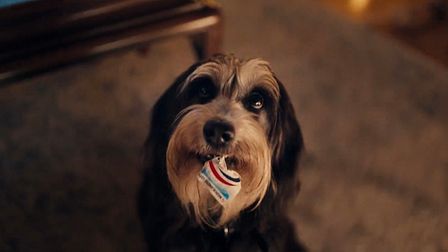 Dutch State Lottery shares the love