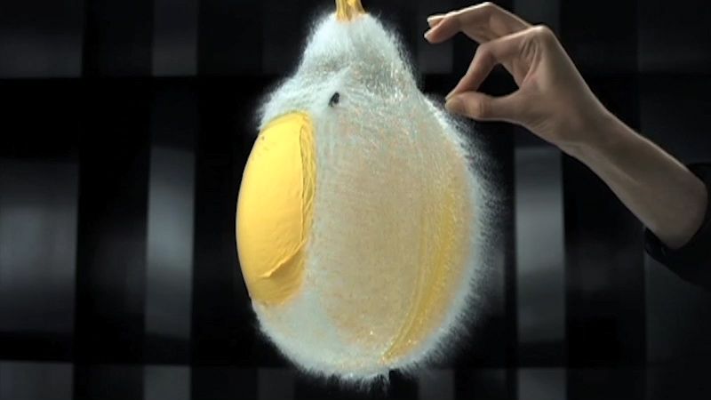 Balloon Fly