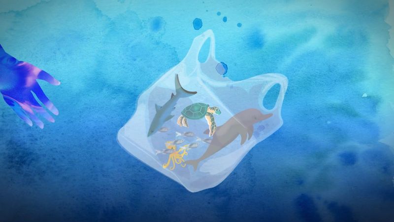 Australian Marine Conservation Society (AMCS)