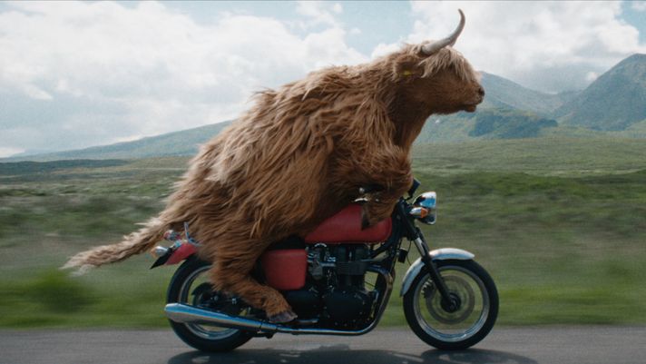 Highland Rider
