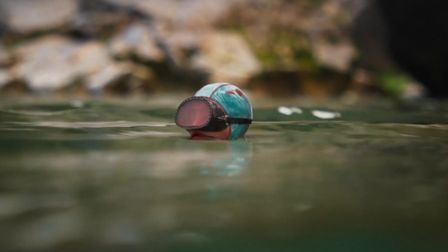 Karni & Saul capture a species in deep waters