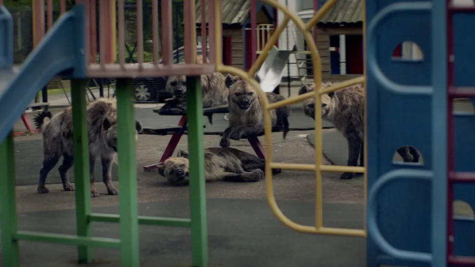 Hyena's