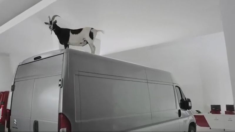 Climber