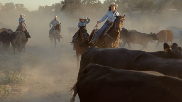 Wildflowers and Wild Horses