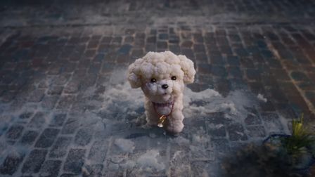 ALDI teases a carat from Kevin