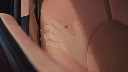 mycar has skin in the game