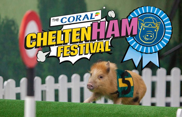 #CheltenHAM campaign brings home the bacon
