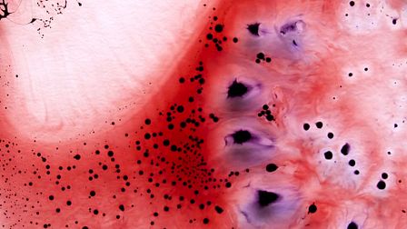 Tune in to the mind’s eye