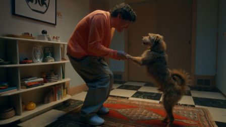 Rover celebrates pets with new creative campaign
