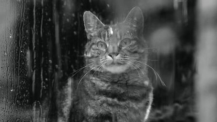 When life gets tough, try Scrumbles