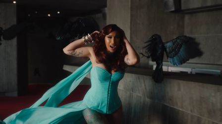 Cardi B’s feathered foes