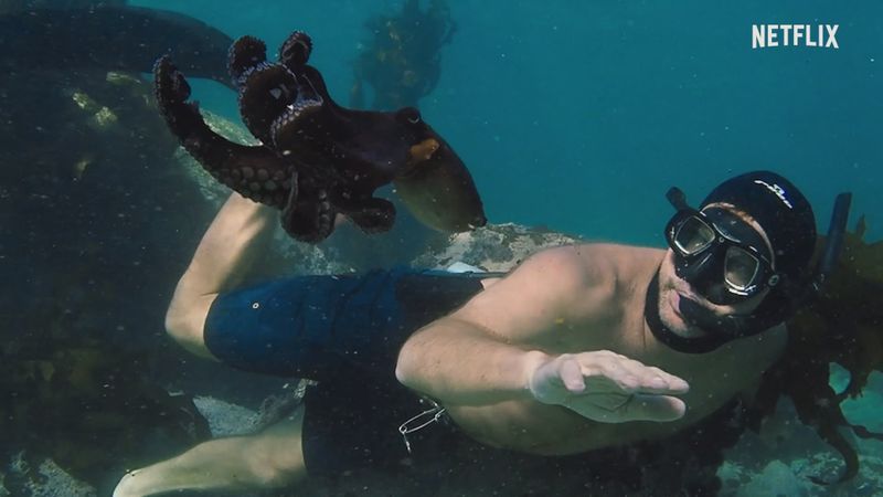 My Octopus Teacher