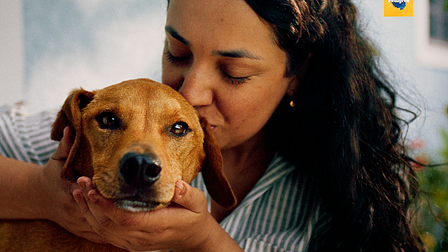 Pedigree launches AI tool to facilitate responsible dog adoption in Brazil