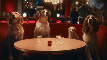 Pup-Peroni spoofs influencer culture with real talking dogs