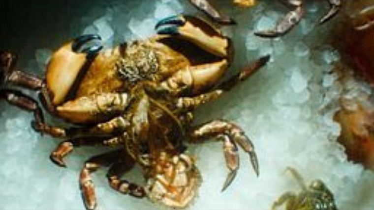 Röyksopp - A Crab & A Pipe