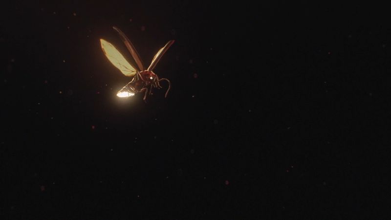Camp Mograph