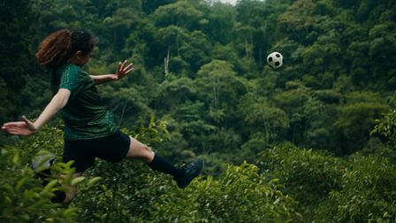 WWF kicks back in the rainforest