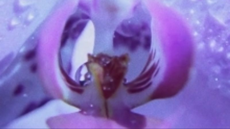 Shlohmo "Buried"
